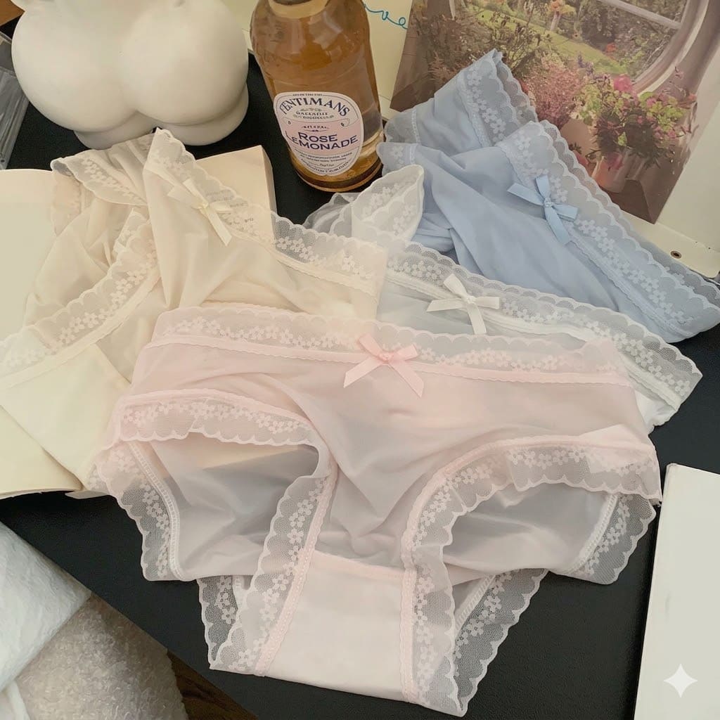 Bucketberry Whispering Lace Sheer Mesh Briefs