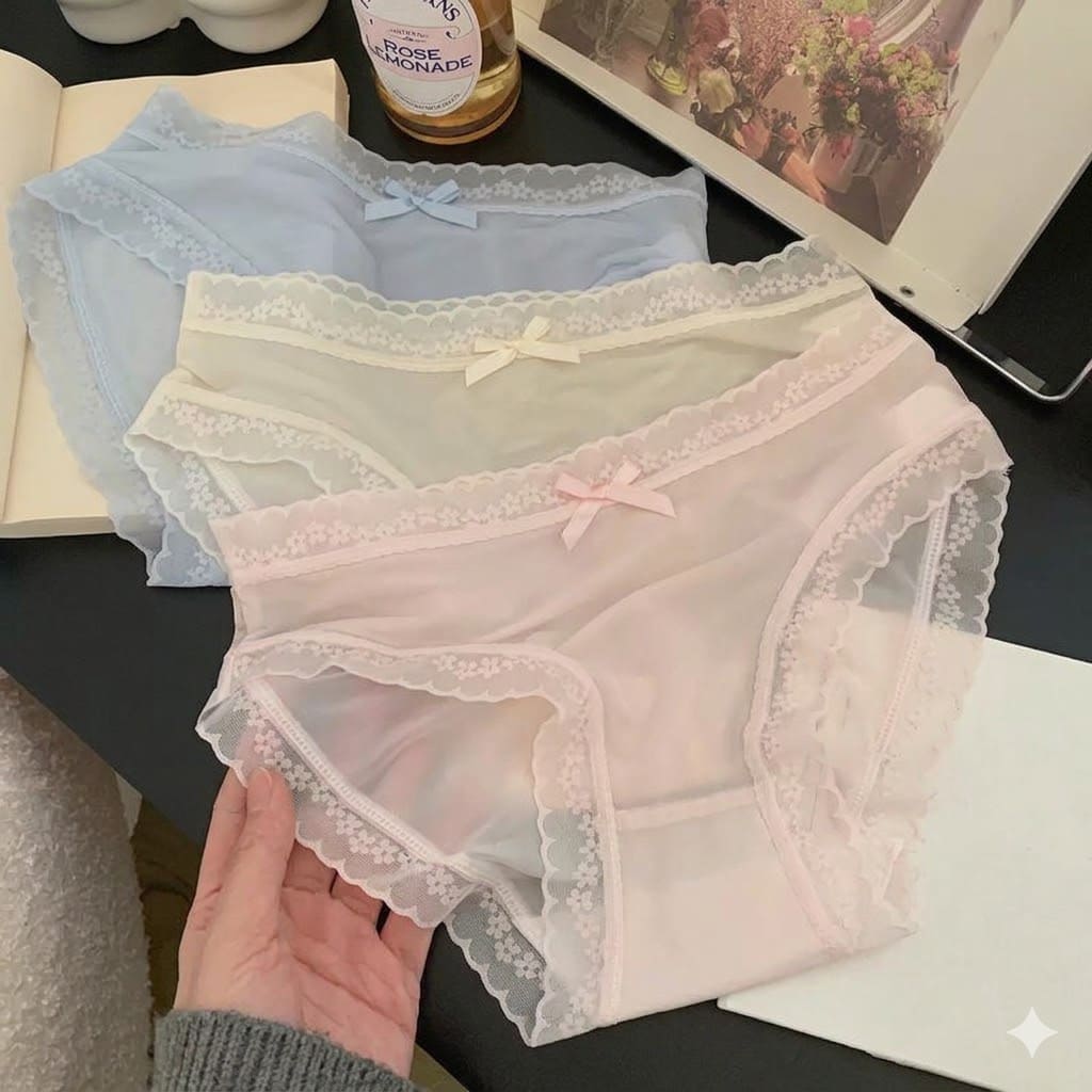 Bucketberry Whispering Lace Sheer Mesh Briefs