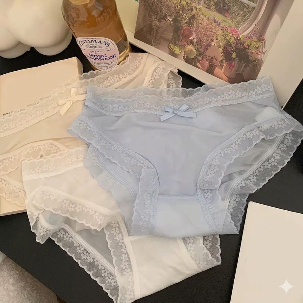 Bucketberry Whispering Lace Sheer Mesh Briefs
