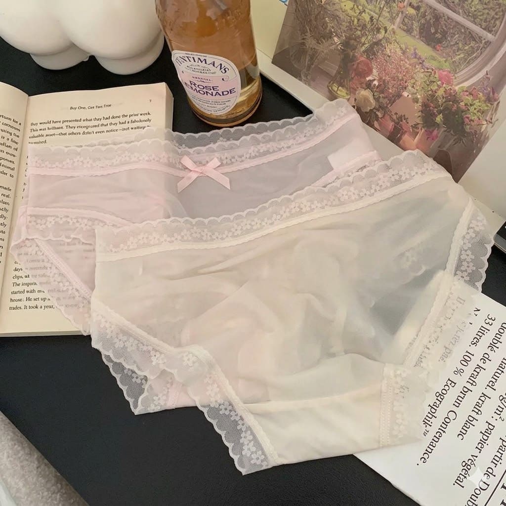 Bucketberry Whispering Lace Sheer Mesh Briefs