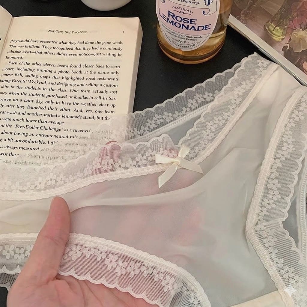 Bucketberry Whispering Lace Sheer Mesh Briefs