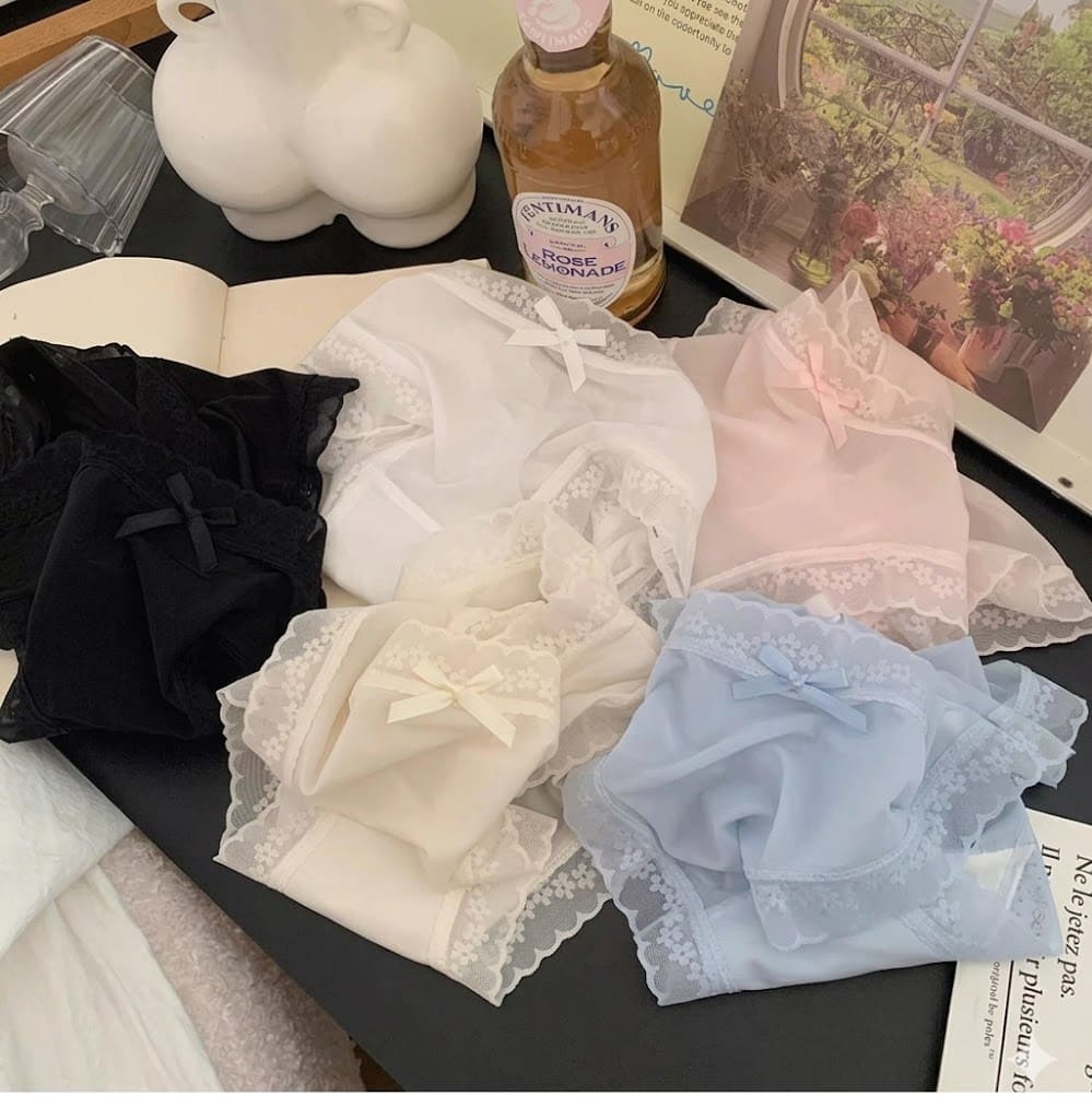 Bucketberry Whispering Lace Sheer Mesh Briefs