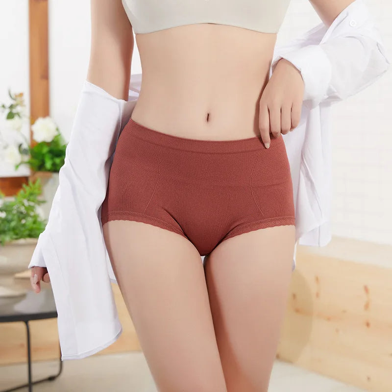 Elegant Embrace High-Waist Lace Panty Pack - Assorted Colors